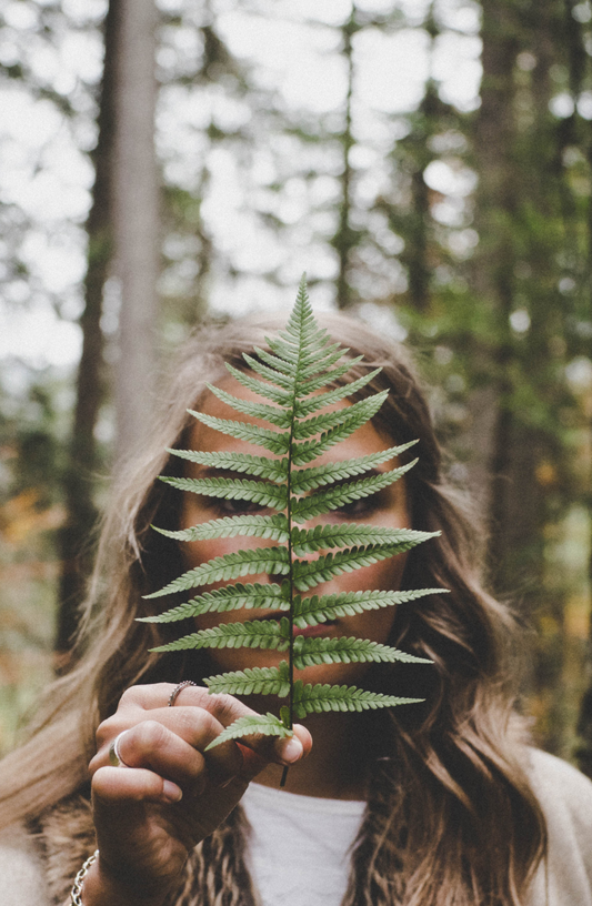 Cómo transitar energéticamente hacia el Otoño según el Ayurveda