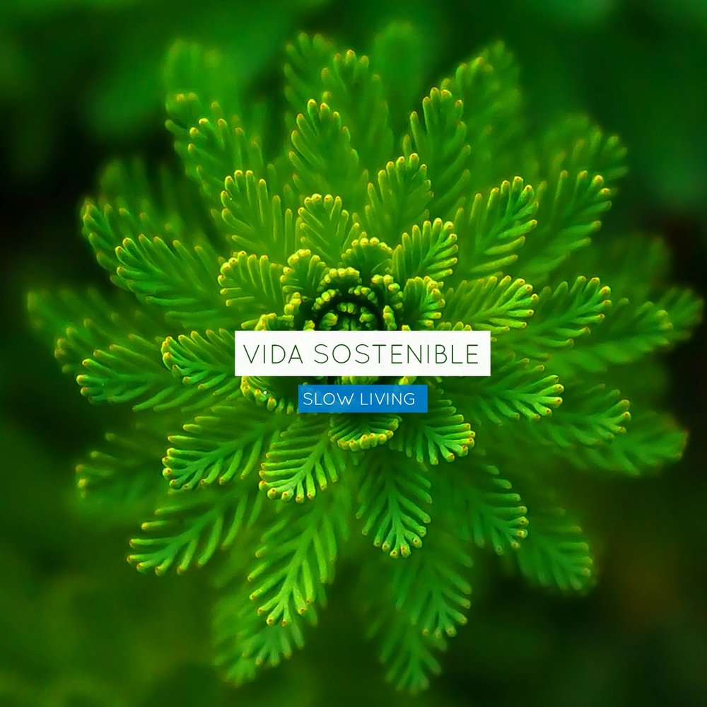 banner_vida_sostenible_3.jpg