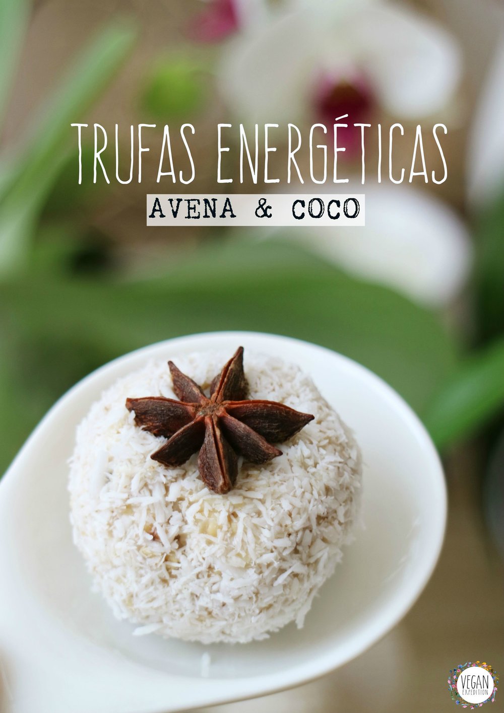 trufas_de_coco_energéticas_vegan_expedition_1.jpg