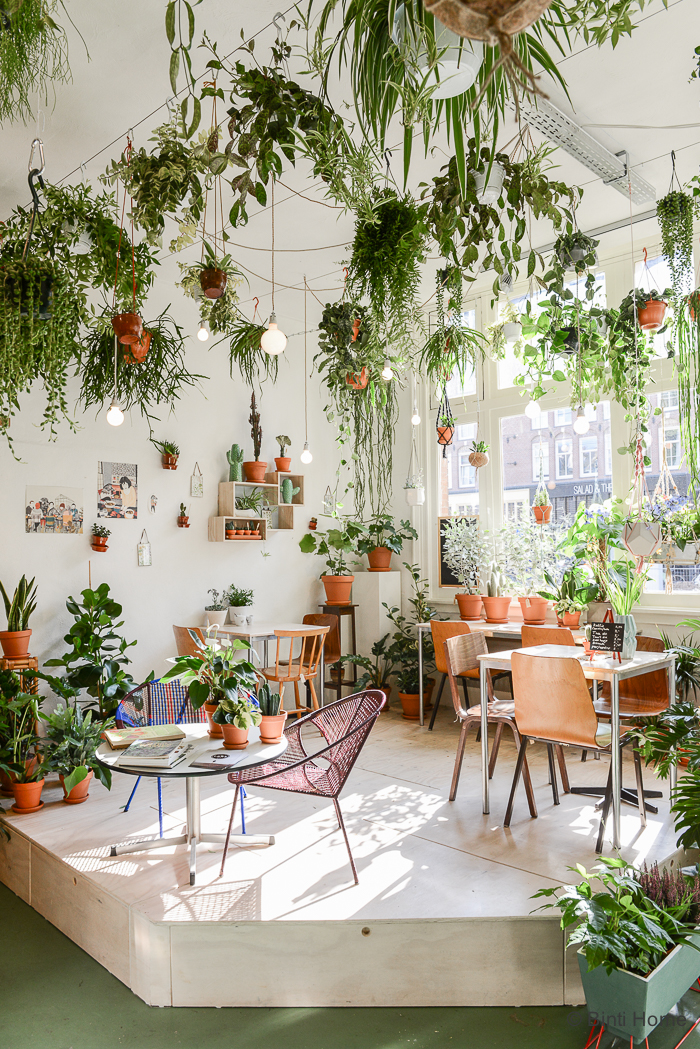 Floristería/Café Wildernis en Amsterdam. Foto: Binti Home