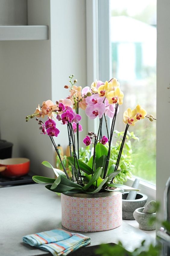 Foto: gardenista.com